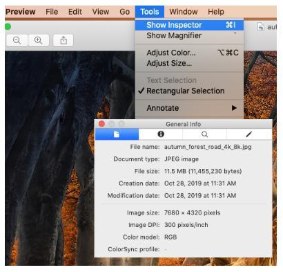 Mac Preview Inspector showing image dimensions and resolution